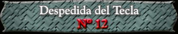 Fotos de la 12da despedida del Tecla