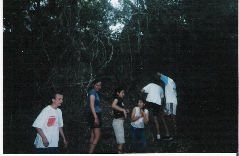 oscureciendoenelmonte2.jpg